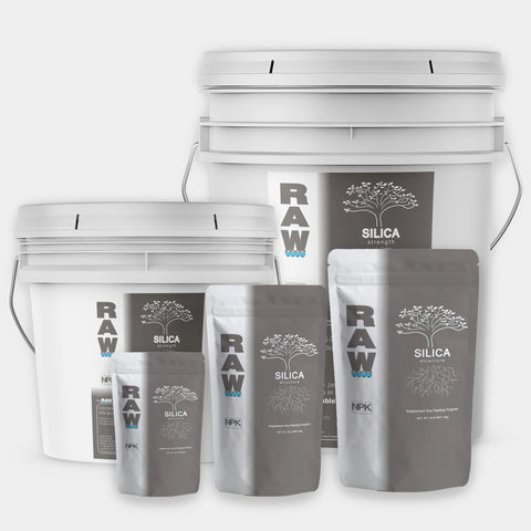RAW Silica pH neutral biogenic silica package