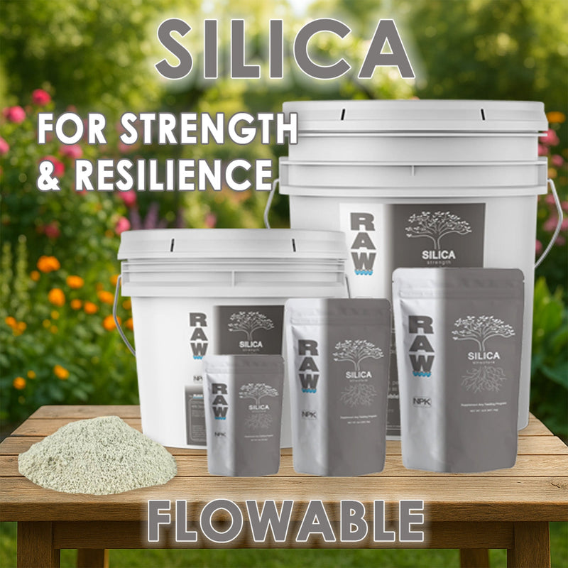 Load image into Gallery viewer, RAW Silica | 45% Silicon Dioxide | pH Neutral Biogenic Silica
