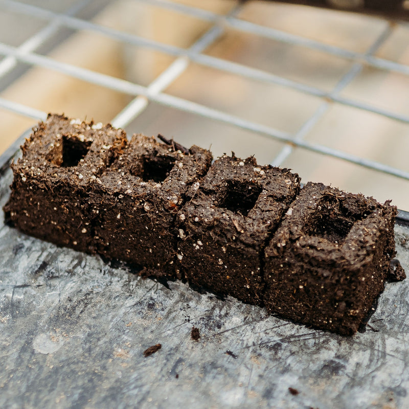 Load image into Gallery viewer, Ladbrooke Soil Blocker Insert Pins - 3/4" Cubic Pins (Set of 4) - Bootstrap Farmer
