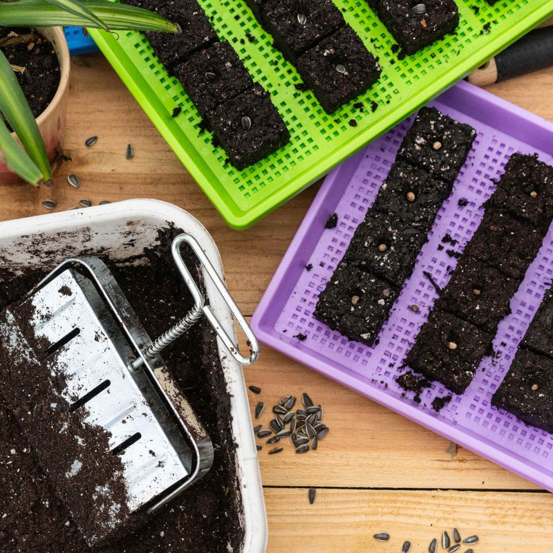 Load image into Gallery viewer, Ladbrooke Soil Blockers - 2" Blocker (4 Blocks) - Bootstrap Farmer
