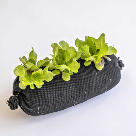 Varden Soil-Filled Vardensok from Bootstrap Farmer at GrowTime Garden Supply
