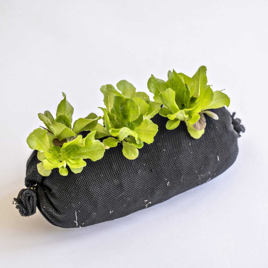 Varden Soil-Filled Vardensok from Bootstrap Farmer at GrowTime Garden Supply