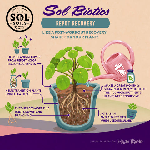 Sol Biotics - Repot Recovery - Repotting Shock Treatment (a Planti-Depressant, if you will…), product information graphic
