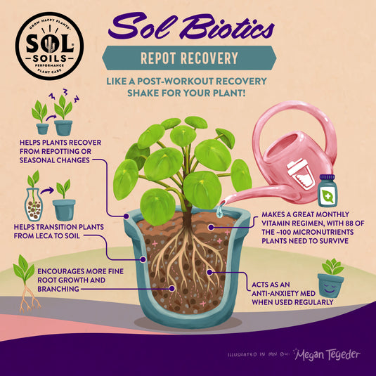 Sol Biotics - Repot Recovery - Repotting Shock Treatment (a Planti-Depressant, if you will…)