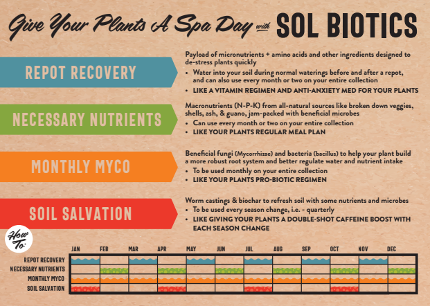 Load image into Gallery viewer, Sol Biotics - Repot Recovery - Repotting Shock Treatment (a Planti-Depressant, if you will…)
