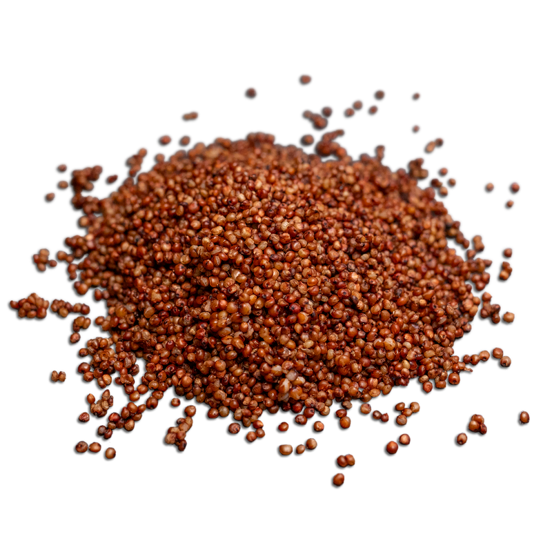 Load image into Gallery viewer, Sterilized Sorghum Grain Bag (3 LBS)
