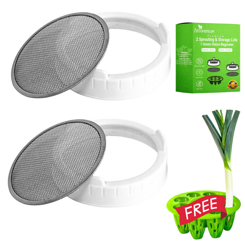 Mason jar sprouting lids and green onion regrower set.