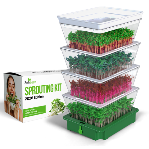 Tiered stackable seed sprouter with rinse and drain spout.