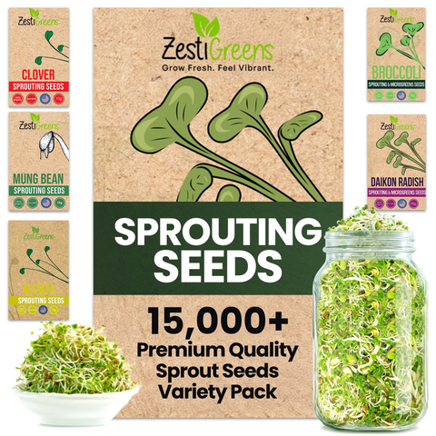Organic sprouting seed variety pack with five pre-measured packets.