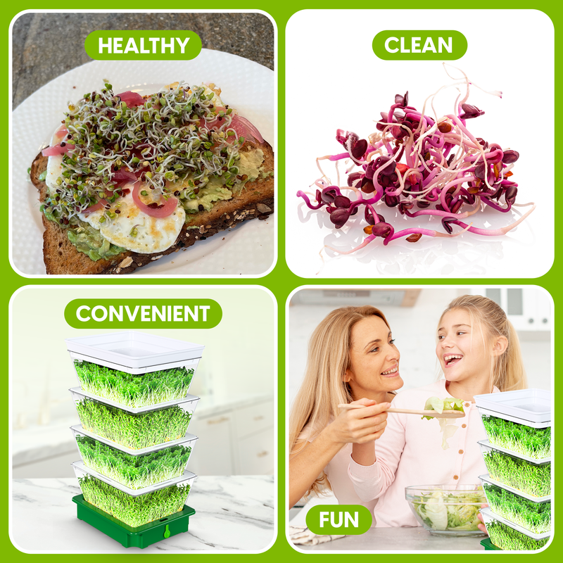 Load image into Gallery viewer, ZESTIGREENS Tiered Sprouting Kit with Drain Spout – Stackable Seed Sprouter Trays for Growing Fresh Sprouts at Home – BPA-Free, Easy Rinse &amp; Drain System
