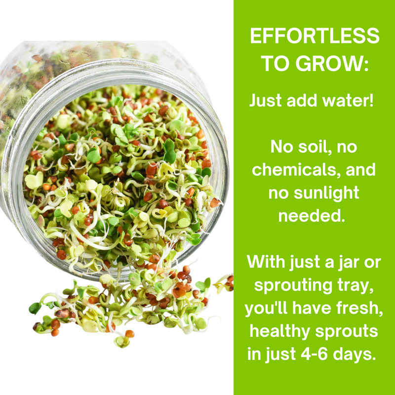 Load image into Gallery viewer, Organic 5 Variety Pack of Fresh Sprouting Seeds
