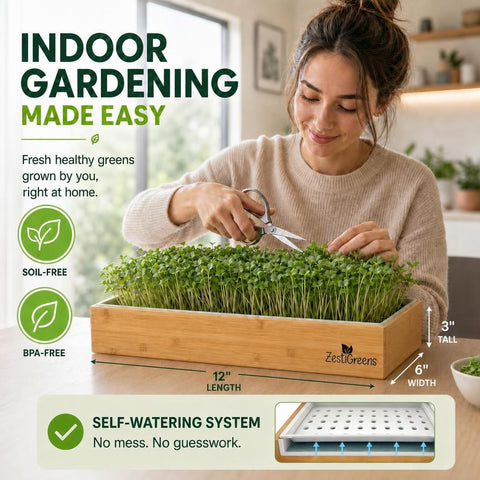 Microgreens Growing Kit Self Watering, additional product view 2