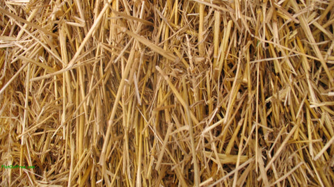 Bale of 100% natural wheat straw for garden mulch and bedding.
