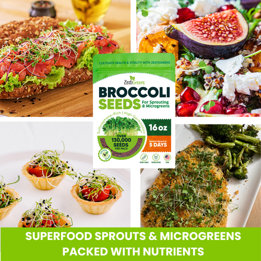 Organic Broccoli Seeds
