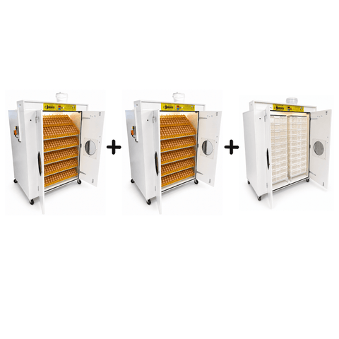 Surehatch SH6000 6000 egg hatchery