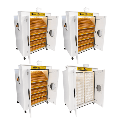 Surehatch SH8000 8000 egg hatchery