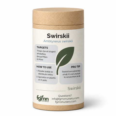 Amblyseius swirskii predatory mites for whitefly and thrips.