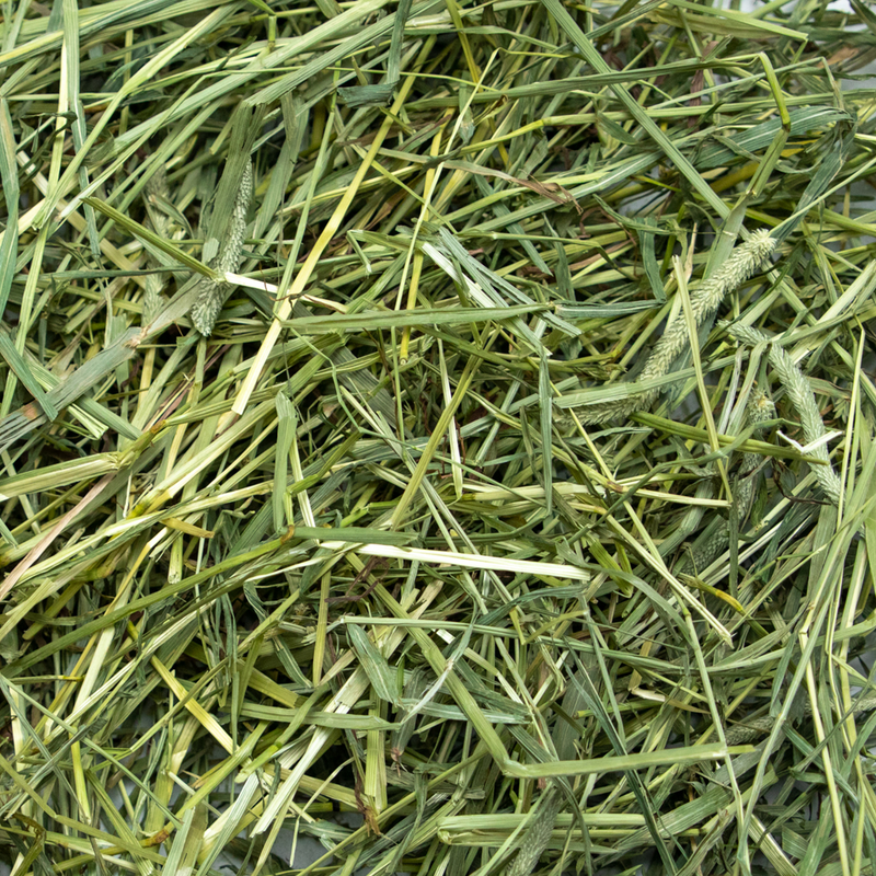 Load image into Gallery viewer, Rabbit Hole Hay Ultra Premium Coarse Timothy Hay
