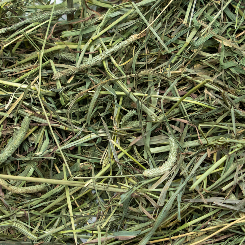 Load image into Gallery viewer, Rabbit Hole Hay Ultra Premium Medium Timothy Hay
