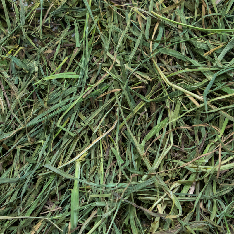 Load image into Gallery viewer, Rabbit Hole Hay Ultra Premium Soft Timothy Hay
