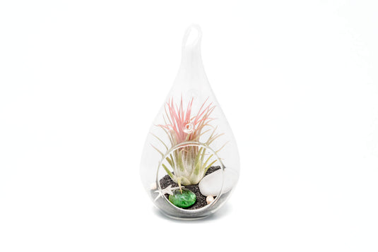 Set of 3 Teardrop Beach Terrariums with Black Sand