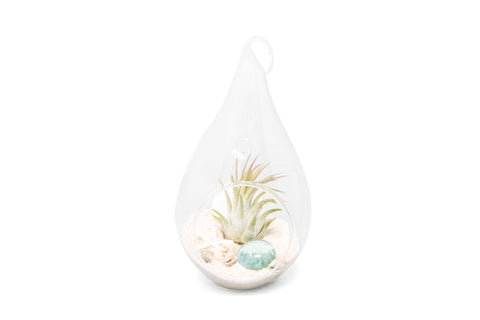 Teardrop Beach Terrarium White Sand