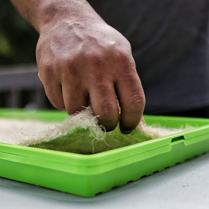 Load image into Gallery viewer, Hemp Grow Mats
