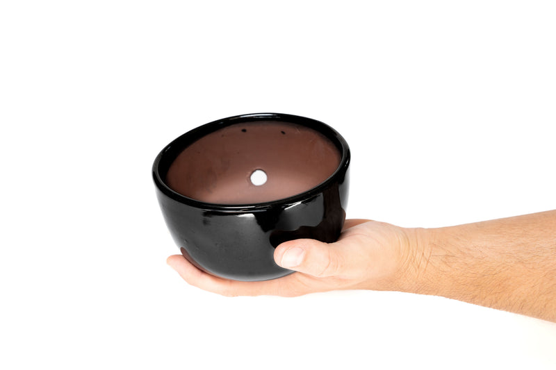 Load image into Gallery viewer, Large Fully Assembled Air Plant Bowl Garden
