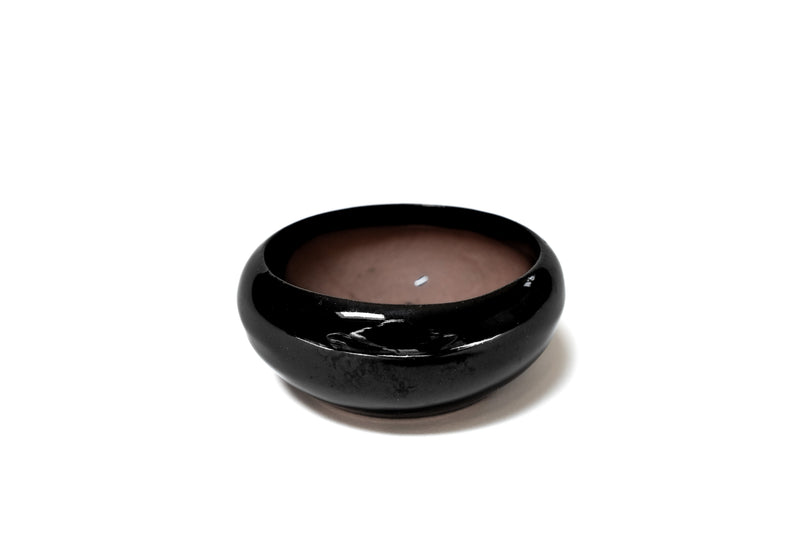Load image into Gallery viewer, Fully Assembled Tillandsia Air Plant Dish Garden in Black Glazed Container
