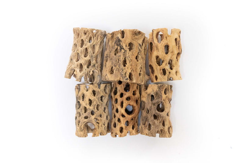 Load image into Gallery viewer, Natural Cholla Wood Container - 3 Inches Tall
