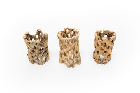 Natural Cholla Wood Container - 3 Inches Tall, additional product view 2