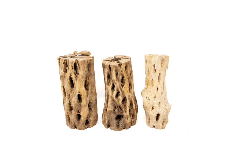 Load image into Gallery viewer, Natural Cholla Wood Container - 6 Inches Tall
