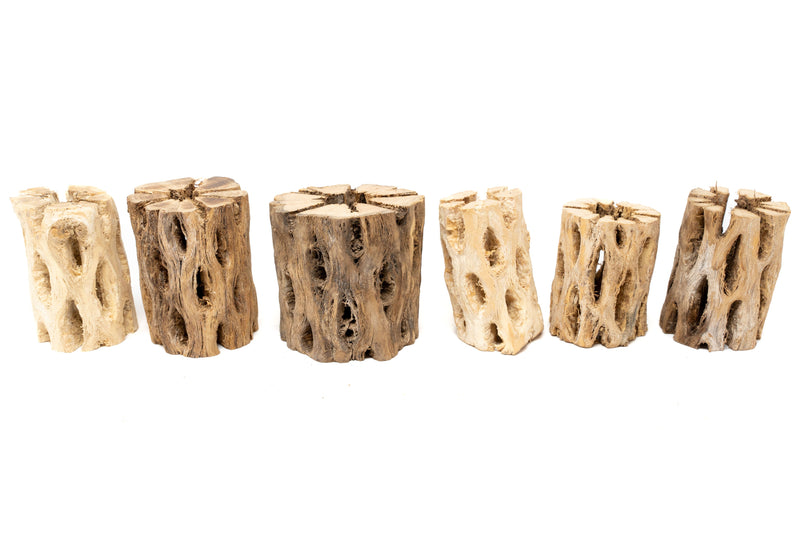Load image into Gallery viewer, Natural Cholla Wood Container - 3 Inches Tall
