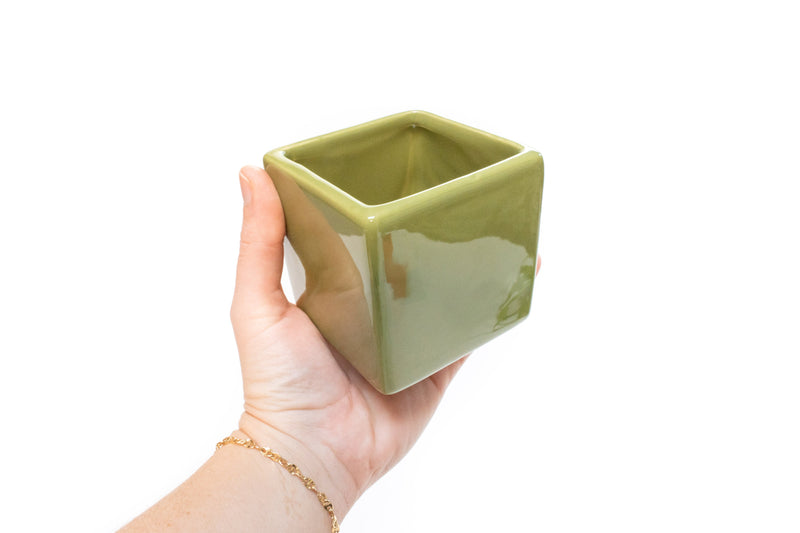 Load image into Gallery viewer, Air Plant Supply Co. Brand Colors Set - Two Ceramic Cube Containers with Tillandsia Xerographica Mini and Juncea
