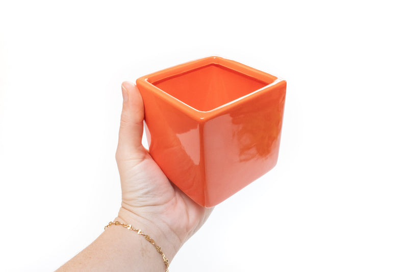 Load image into Gallery viewer, Naranja Orange Ceramic Cube Container with Large Assorted Tillandsia Air Plants
