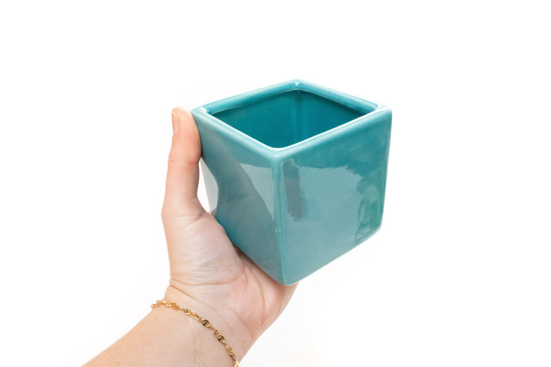 Load image into Gallery viewer, Sky Blue Ceramic Cube Container with Custom Tillandsia Air Plant
