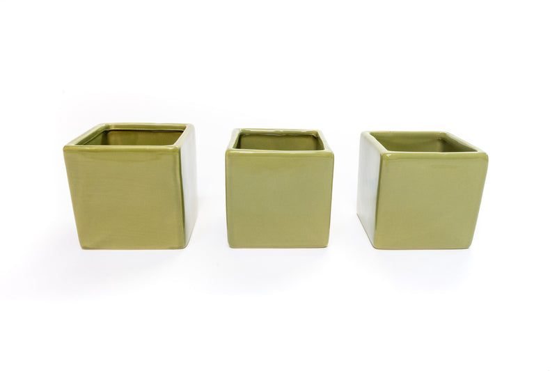 Load image into Gallery viewer, Avocado Green Ceramic Cube Container with Assorted Large Tillandsia Air Plant
