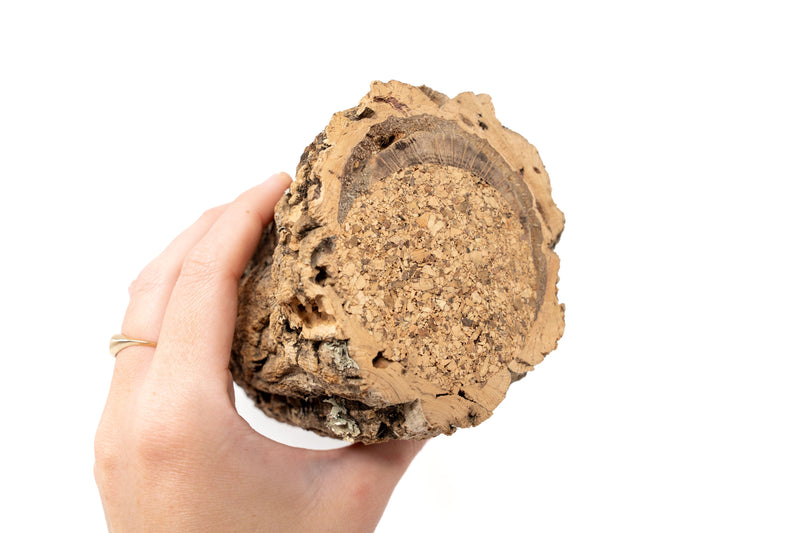 Load image into Gallery viewer, Natural Cork Bark Planters
