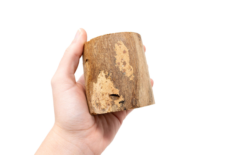 Load image into Gallery viewer, Driftwood Tillandsia Air Plant or Succulent Container
