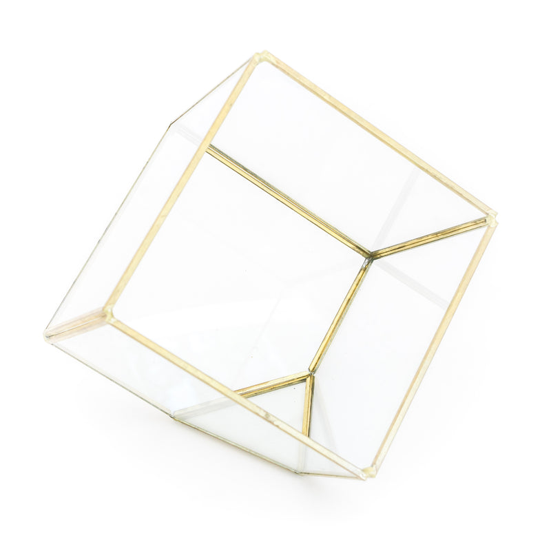 Load image into Gallery viewer, Heptahedron Geometric Glass Terrariums - Set of 2 - with Tillandsia Red Abdita, Ionantha and Small Xerographica

