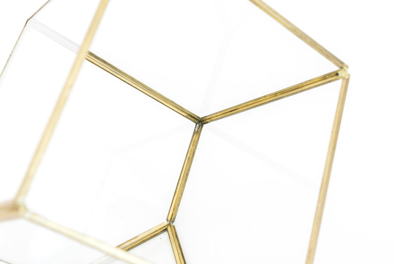 Load image into Gallery viewer, Heptahedron Geometric Glass Terrarium - Gold Metallic Finish - Trendy Holder For Tillandsia Air Plants

