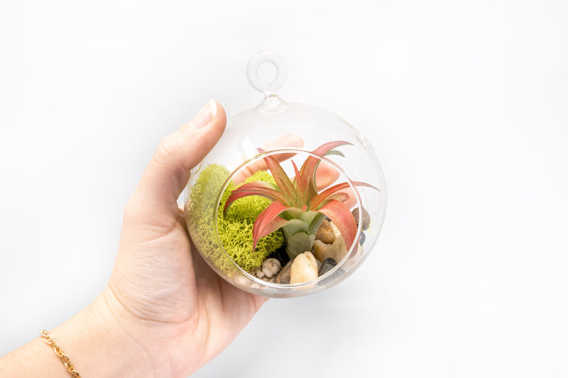 Load image into Gallery viewer, Set of 3 Stunning Hanging Glass Terrariums with Flat Bottoms

