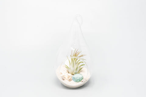 SALE - Set of 3 or 6 Teardrop Beach Terrariums with White Sand, additional product view 2