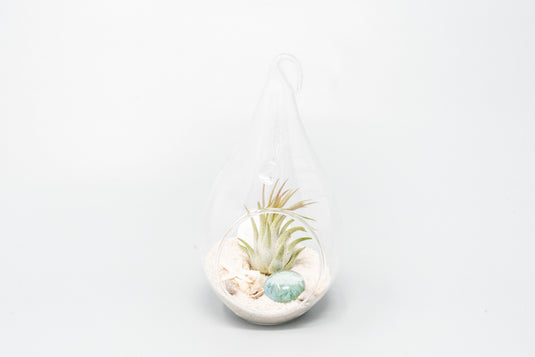 SALE - Set of 3 or 6 Teardrop Beach Terrariums with White Sand