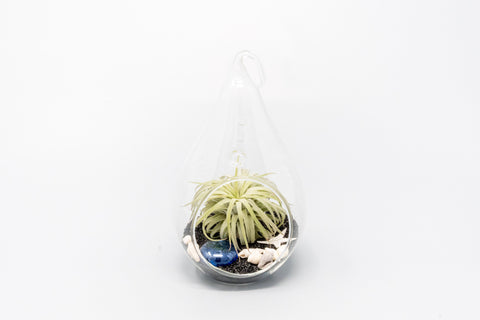Teardrop Beach Terrariums with Black Sand, additional product view 2