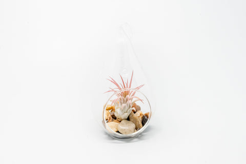 SALE - Set of 3 Airy Teardrop Terrariums with Flat Bottoms, additional product view 2