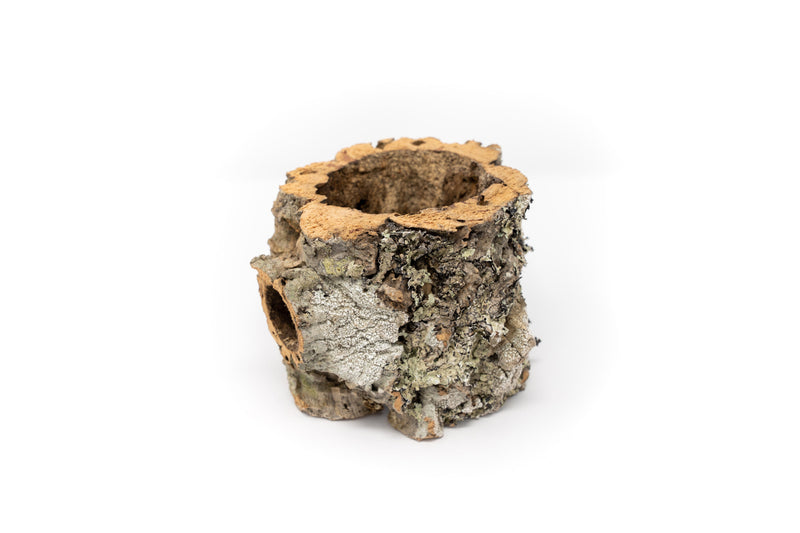 Load image into Gallery viewer, Natural Cork Bark Planters with Mini Tillandsia Xerographica Air Plant
