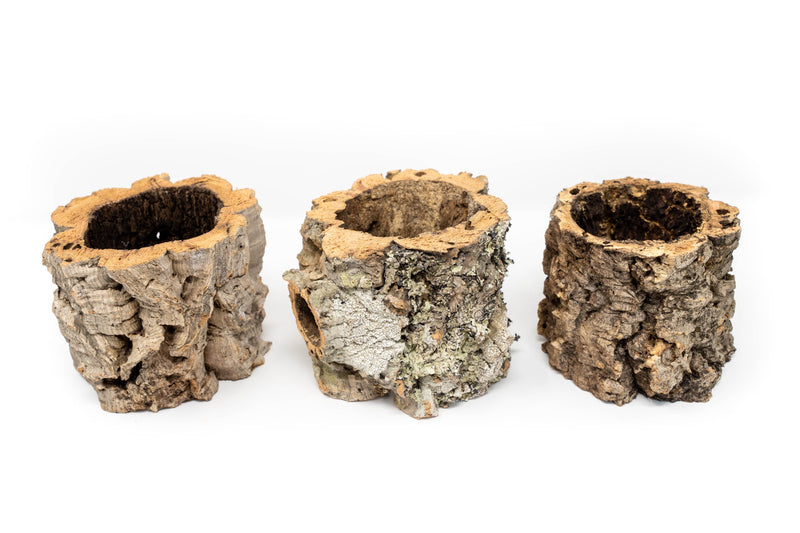 Load image into Gallery viewer, Natural Cork Bark Planters
