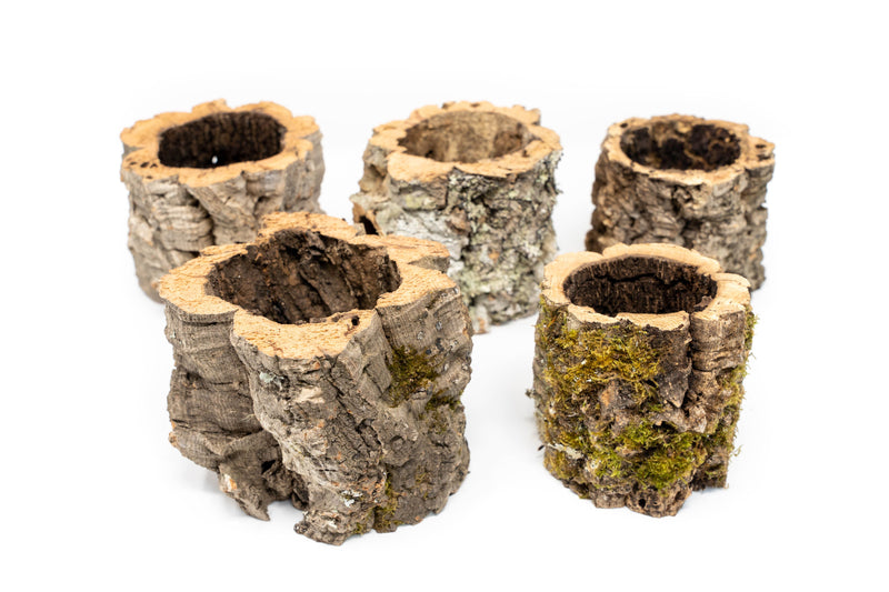 Load image into Gallery viewer, Natural Cork Bark Planters

