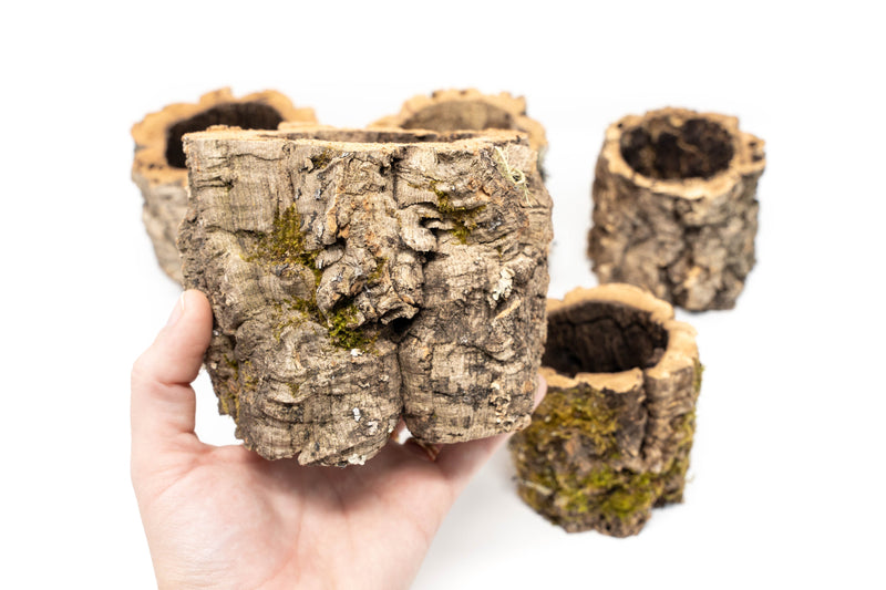 Load image into Gallery viewer, Natural Cork Bark Planters
